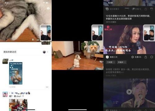 视频号热点爆料,最新热门事件深度解析  第1张