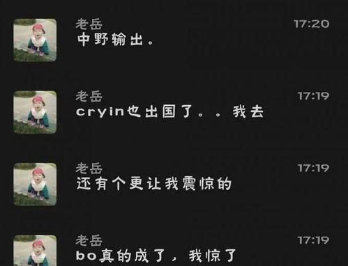 老岳爆料小虎视频播放在线观看,老岳爆料小虎视频，独家在线观看攻略！  第2张