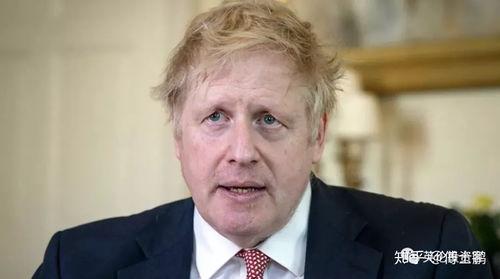 鲍里斯最新爆料,揭秘政坛惊天秘密！  第3张