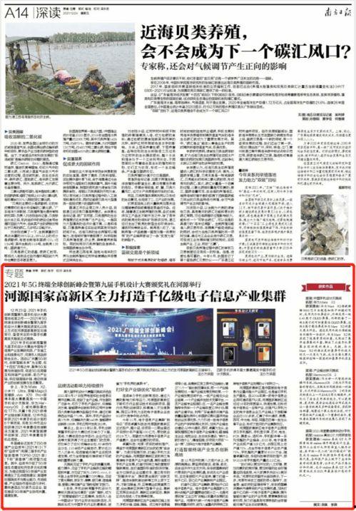 河源爆料日报最新消息,最新动态盘点，揭秘河源热点事件！  第1张