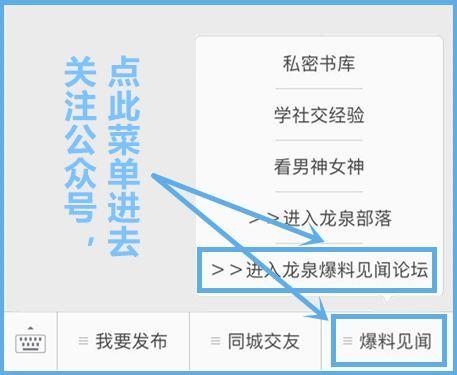 最新爆料见闻100字,见闻100字背后的惊人真相