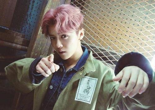 鹿晗最新消息爆料视频,独家爆料视频大揭秘 第3张 鹿晗最新消息爆料视频,独家爆料视频大揭秘 第3张